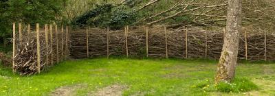 Atelier participatif « Réalisez une haie sèche »